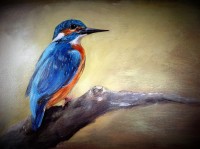 IJsvogel