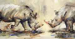 Neushoorns in Aquarel