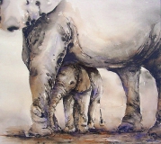 Olifanten in Aquarel