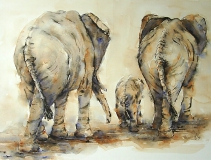 Olifanten in Aquarel