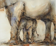 Olifanten in Aquarel