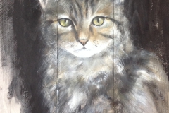 Kat op Steigerhout