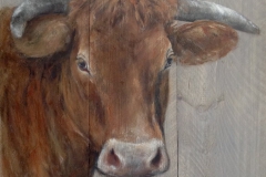 Koe op Steigerhout