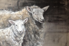 Schapen op Steigerhout