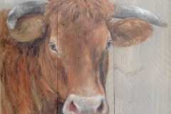 Dieren op Steigerhout