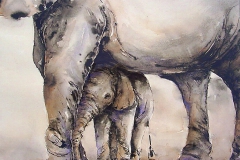 Dieren in Aquarel
