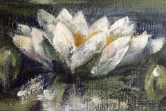 Schilderijen van Waterlelies