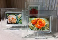 Roos-in-glazen-lijstje-1