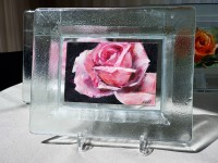 Roos-in-glazen-lijstje-2