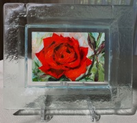 Roos-in-glazen-lijstje-3