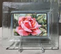 Roos-in-glazen-lijstje-5