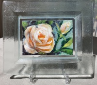 Roos-in-glazen-lijstje-7