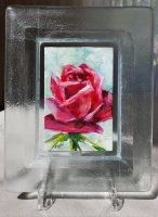 Roos-in-glazen-lijstje-9